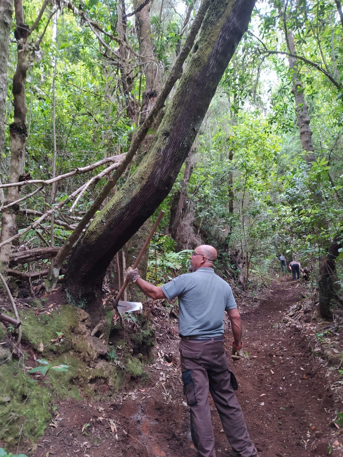 Trabajos de recuperación del camino.