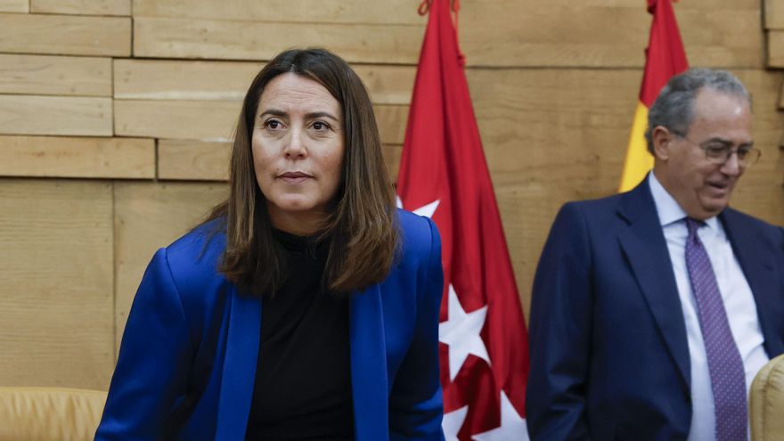 La vicepresidenta primera de la Mesa de la Asamblea de la Comunidad de Madrid, Ana Millán Arroyo, durante un pleno en la Asamblea de Madrid. EFE/ Chema Moya