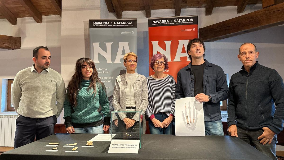 Muestra de las partes que corresponden los restos