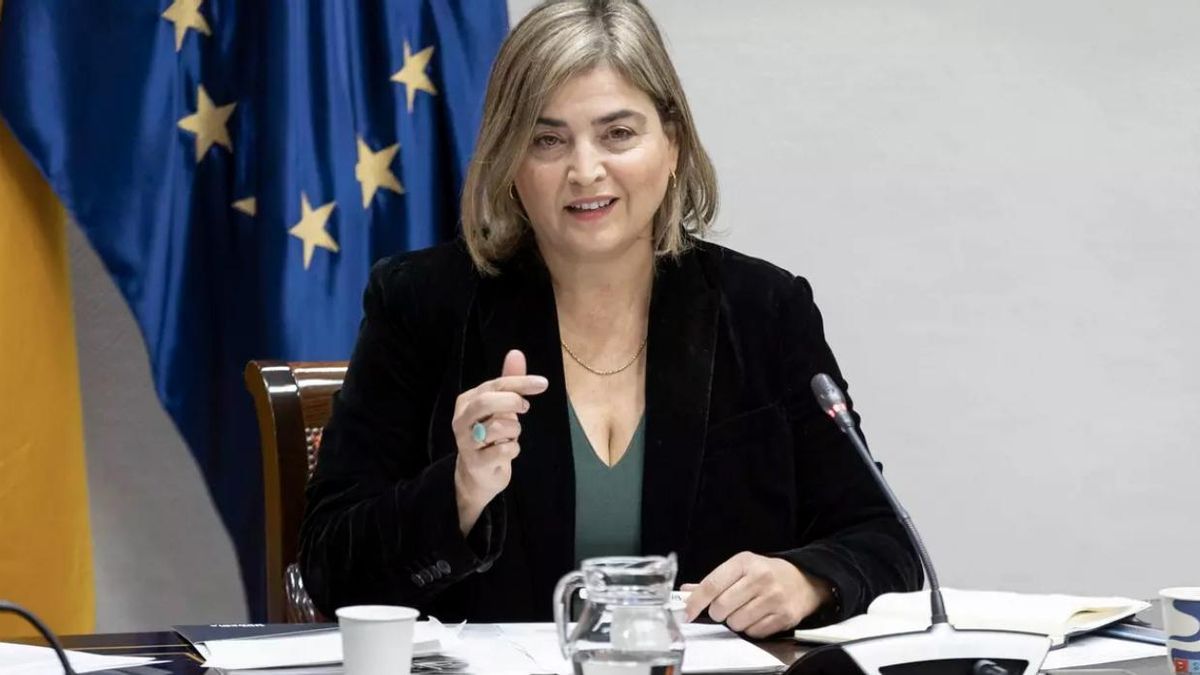 María Méndez, en una comisión de control en el Parlamento de Canarias. (EFE/Miguel Barreto)