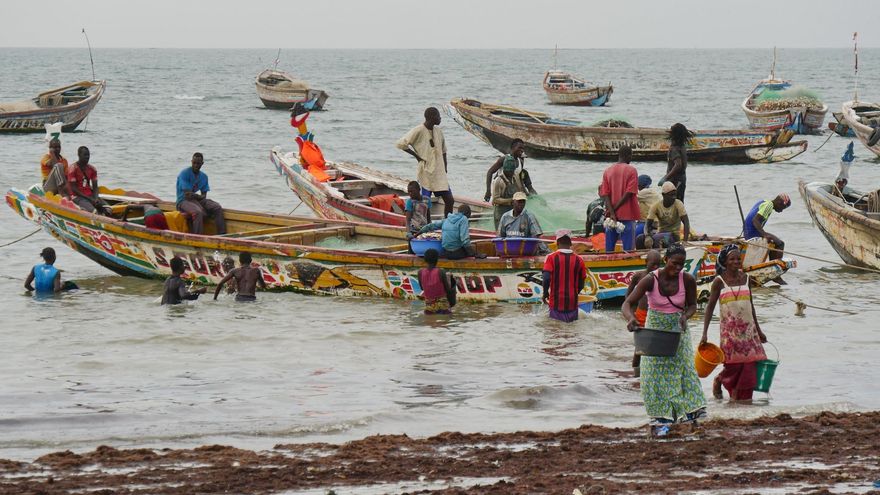 Pescadores en Tanji. El mercado de pescado se anima a la caída del sol, cuando los cayucos repletos de pescado vuelven a la costa.