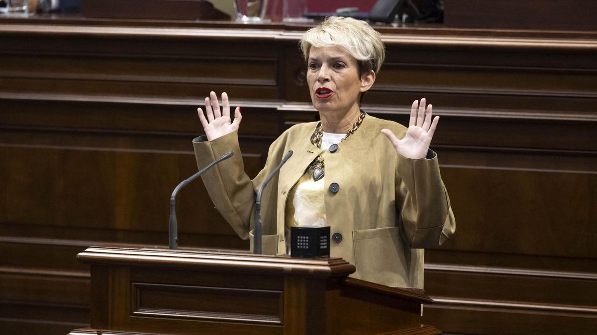La diputada del grupo Socialista, Elena Máñez, durante su intervención en el pleno del Parlamento. EFE/Miguel Barreto