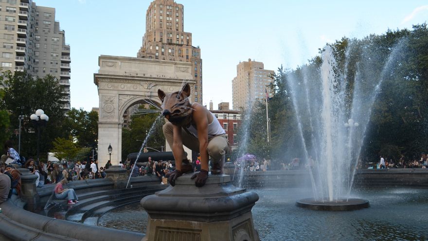 De profesión, rata gigante en Nueva York