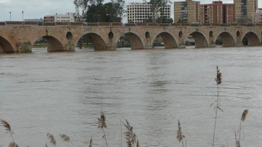 Una asociación alerta de la muerte de peces en el Guadiana a su paso por Badajoz