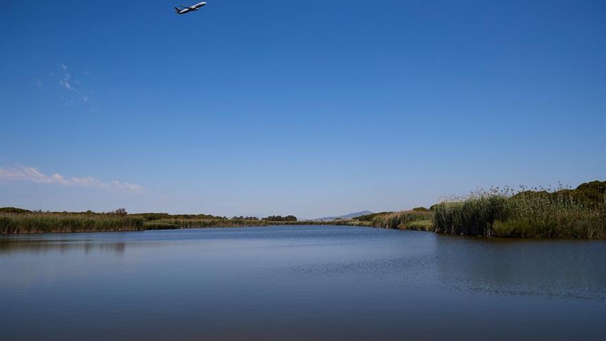Qué es La Ricarda, la reserva verde amenazada por la ampliación del aeropuerto de El Prat