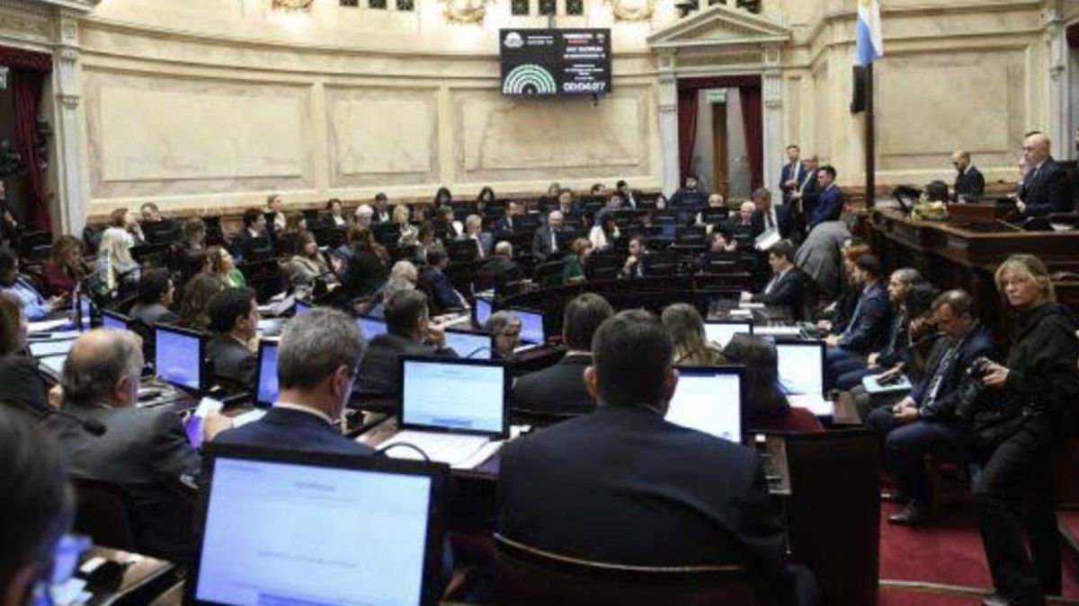 El Senado le dio media sanción al proyecto que incluyen los "desalojos exprés"