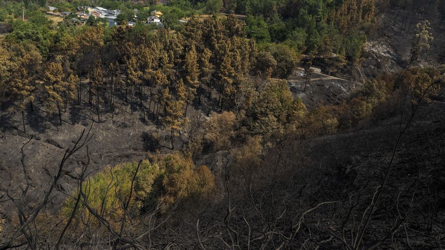Los seis incendios activos en Galicia afectan a más de 82.600 hectáreas