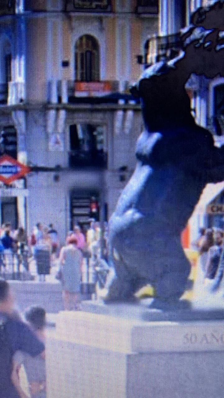 Desgaste "dorado" en la cola y talón del Oso en la Puerta del Sol, ya en 2019.