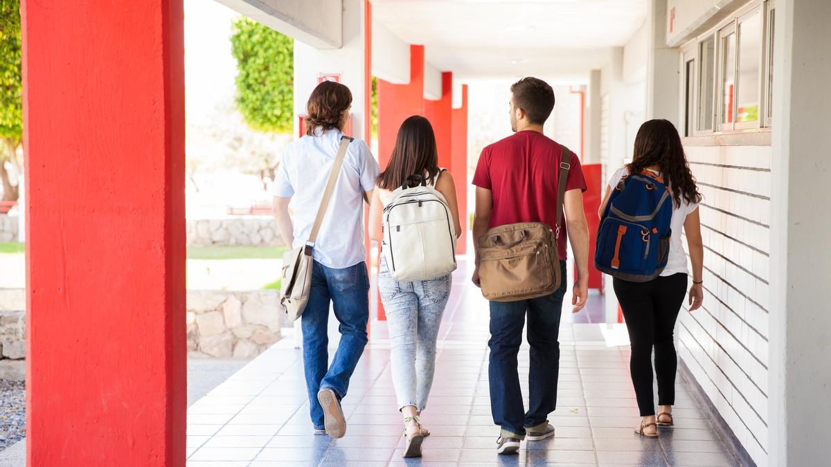 Universidad pública como ascensor social
