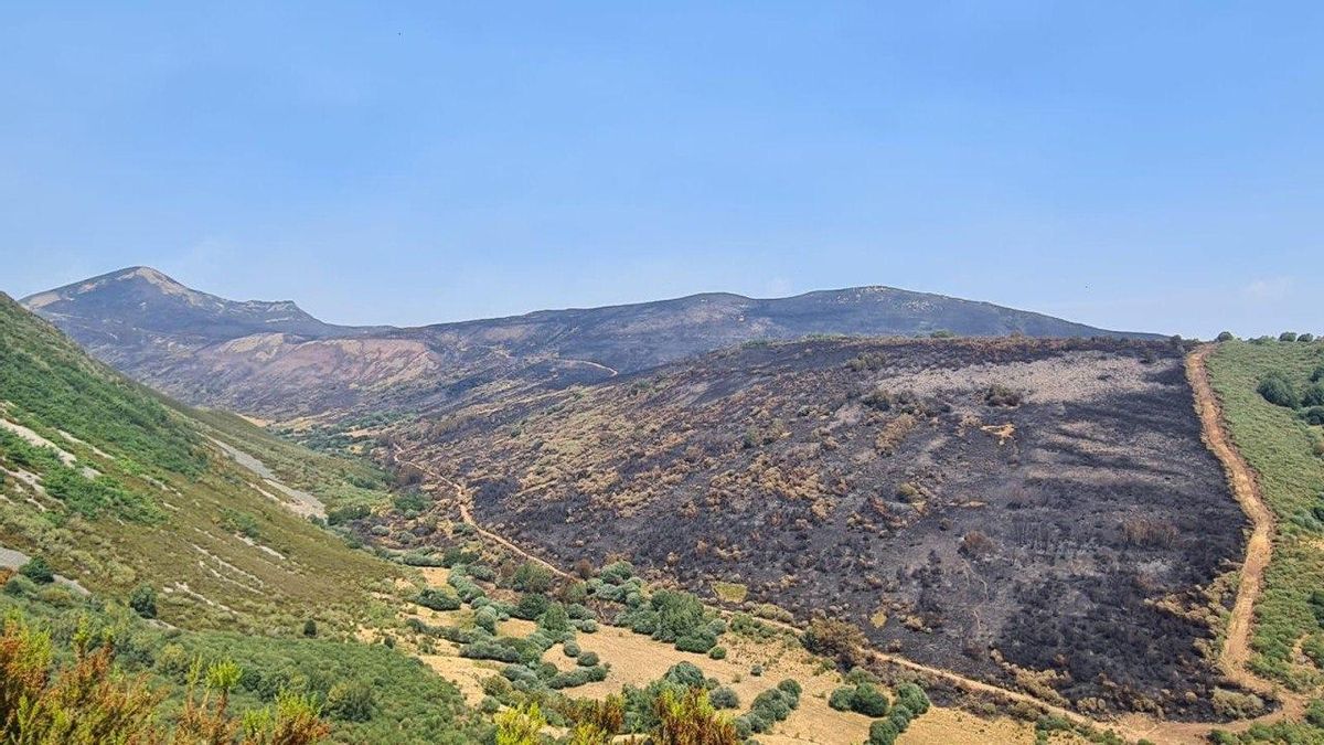 Hectares razed in the Fasgar fire (León)
