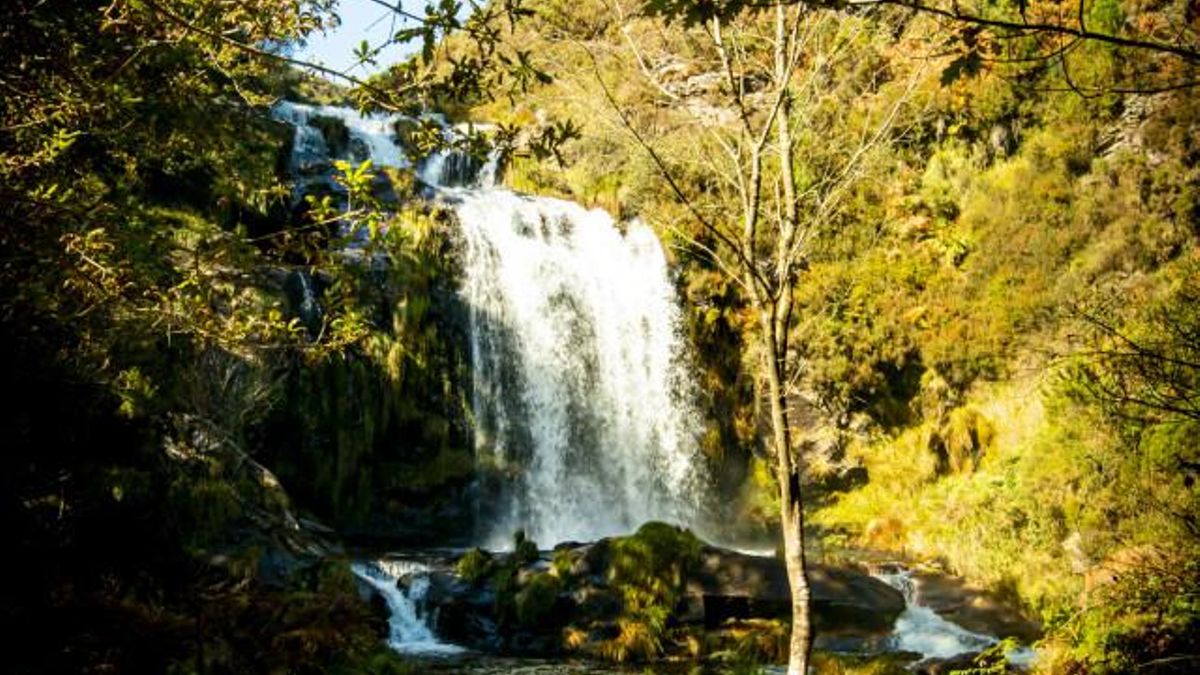 El sendero gallego que desciende hasta una cascada con varios saltos y una caída de más de 20 metros de altura