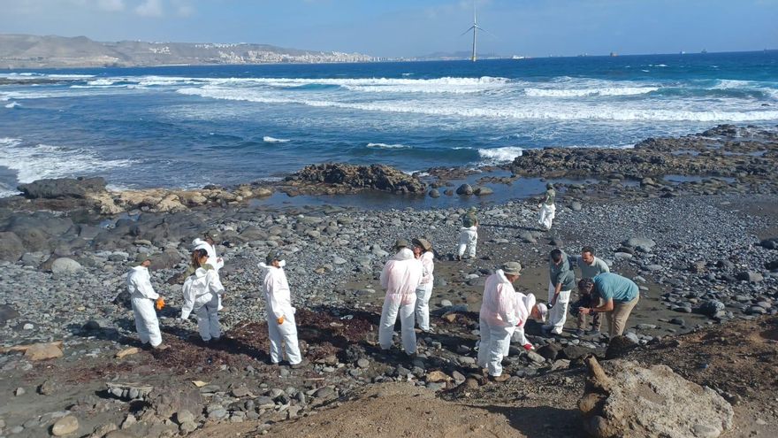 El CSIC activa el Protocolo de Asesoramiento en Desastres y Emergencias por el vertido de fuel a petición de Canarias