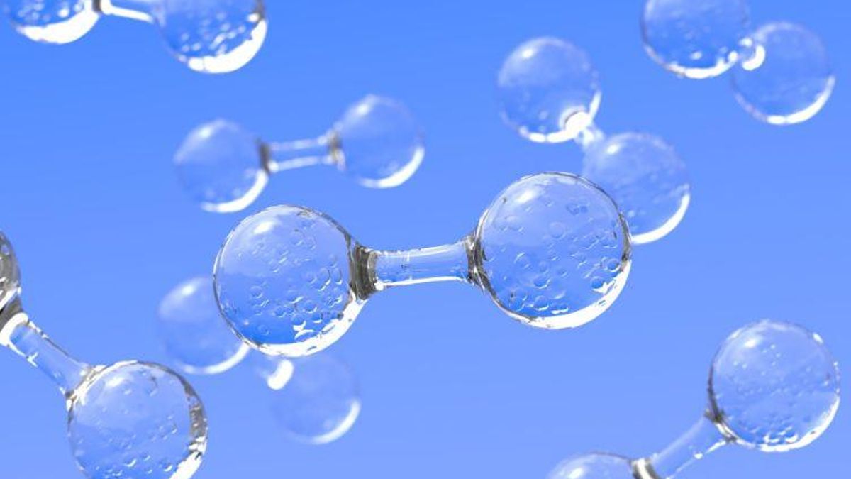 La Universidad Loyola investiga materiales para la producción sostenible de fertilizantes e hidrógeno verde