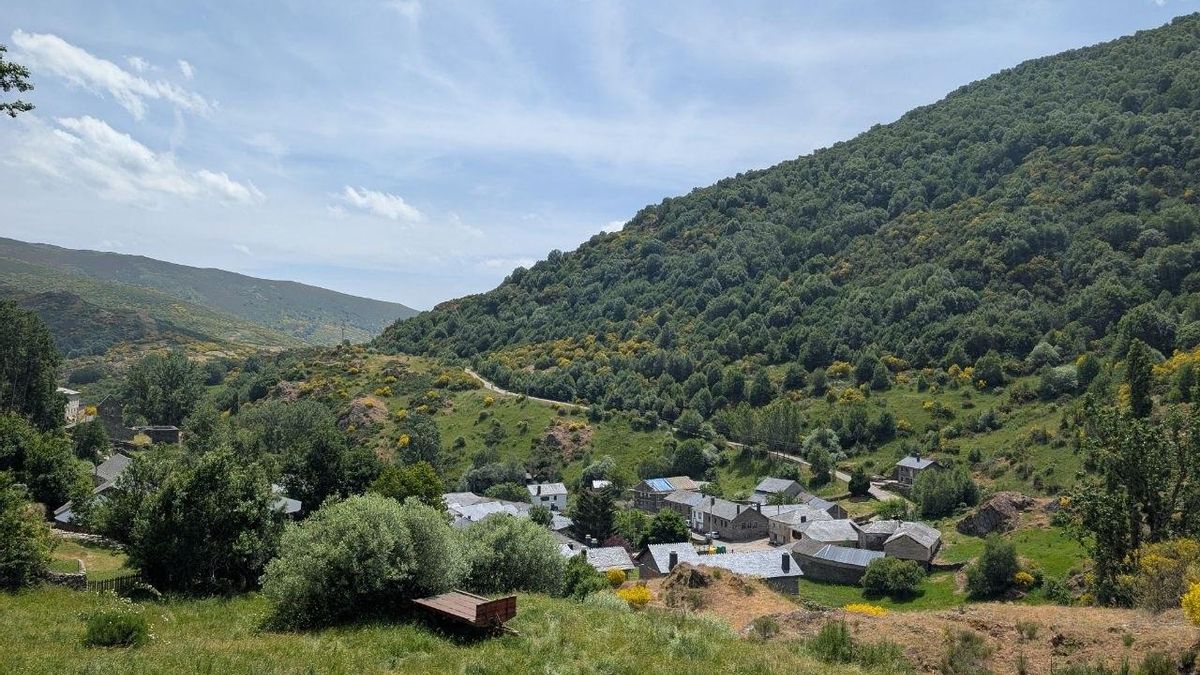 Sin cobertura móvil y de internet en el pueblo porque el pedáneo creía que daba cáncer: así se vulnera un derecho básico