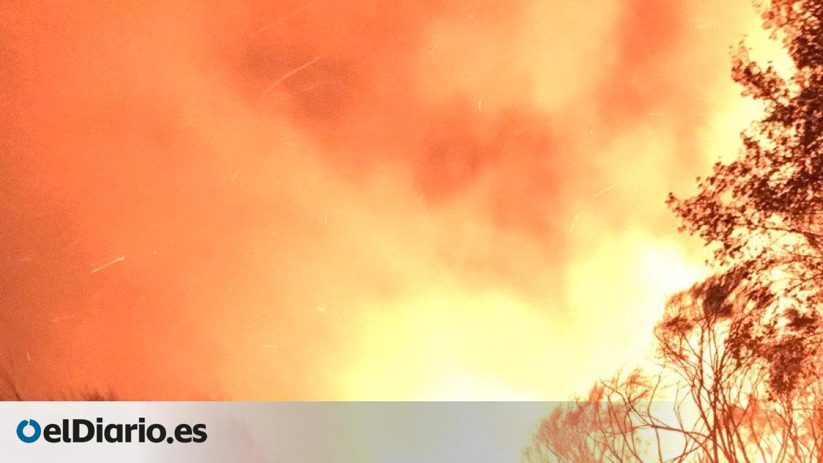 La nueva ola de incendios en el interior de Galicia ya ha arrasado más ...