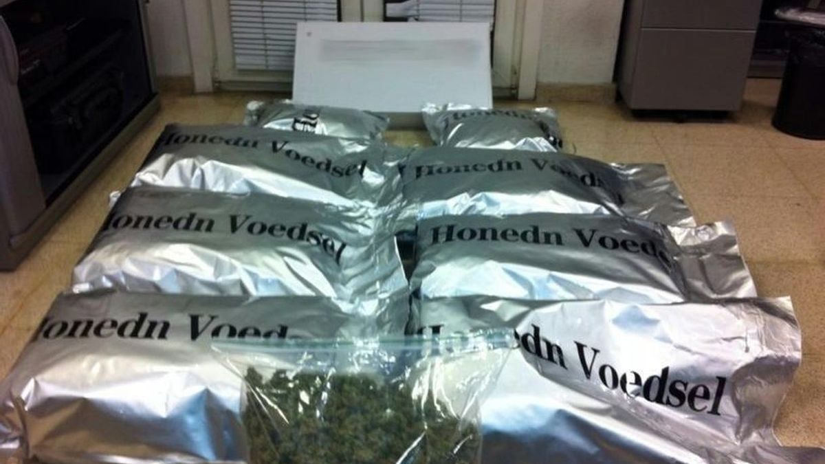 Los operativos antidroga suponen mas del 60% de las intervenciones de la Unidad Canina de la Ertzaintza