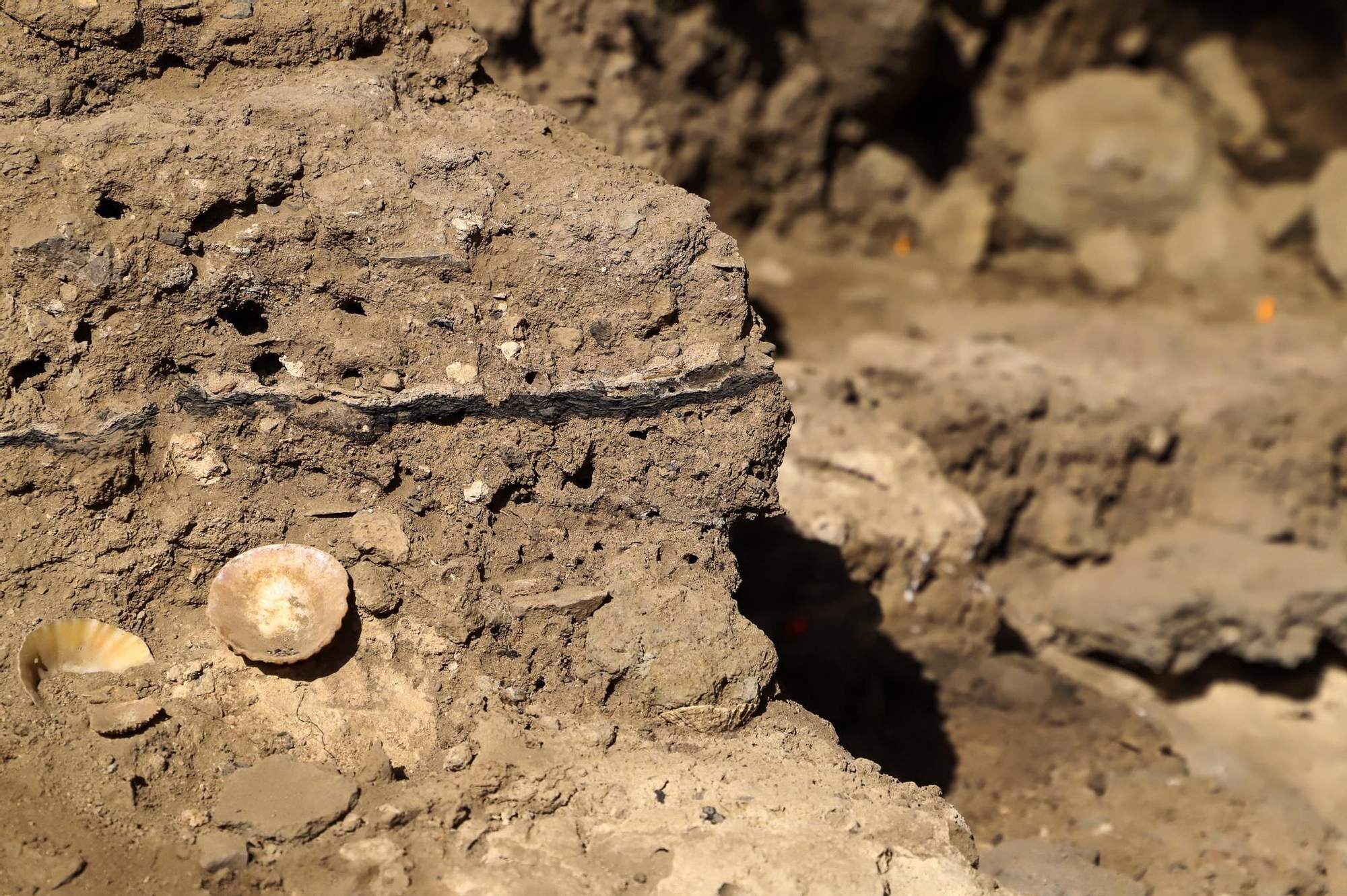 Los primeros pobladores de Canarias habitaron la cueva de El Tendal desde el siglo 3 d.C. LUIS GONZÁLEZ MORERA/EFE