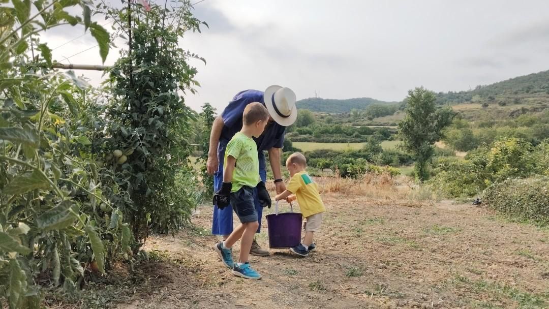 Todas las fotos del concurso 'Disfruta La Rioja' (Parte 2)