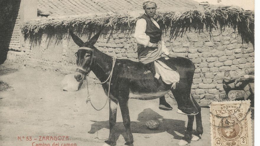 Postal Nº 53. Zaragoza. Camino del campo