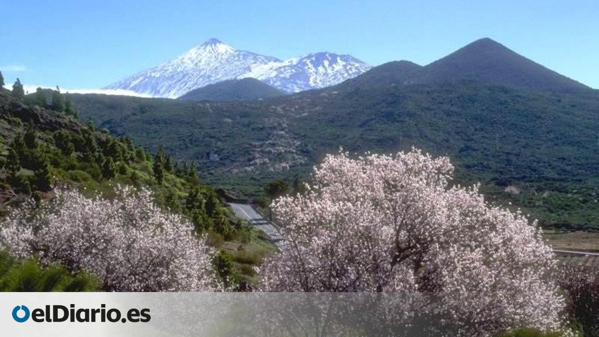 Santiago del Teide: The Most Beautiful Town in Tenerife
