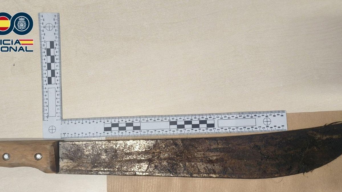 Detenida una mujer por amenazar con un machete a tres inquilinos en Gran Canaria para que abandonaran una vivienda