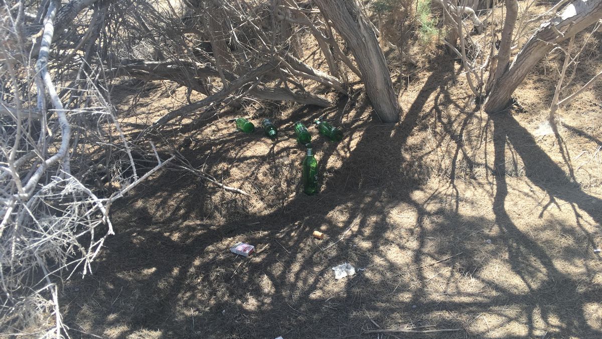 Botellas de vidrio, en las Dunas de Maspalomas, en 2018.