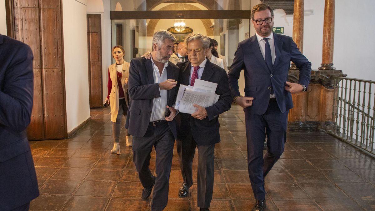 Pleno ordinario de la Diputación de Córdoba