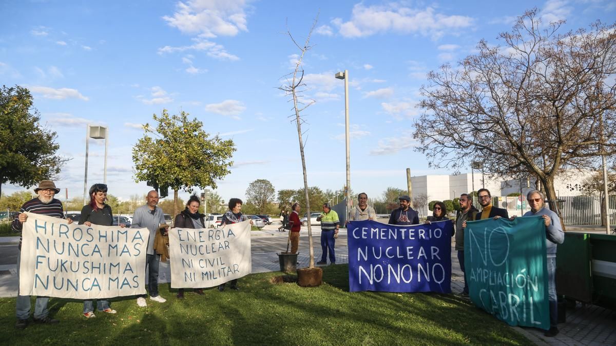 Plantación de un nuevo ginkgo en Miraflores y concentración al cumplirse 15 años del accidente nuclear de Fukushima