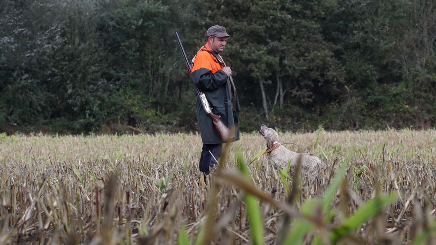 Jaque mate al conejo en Castilla-La Mancha: ¿control necesario o amenaza al equilibrio ecológico?