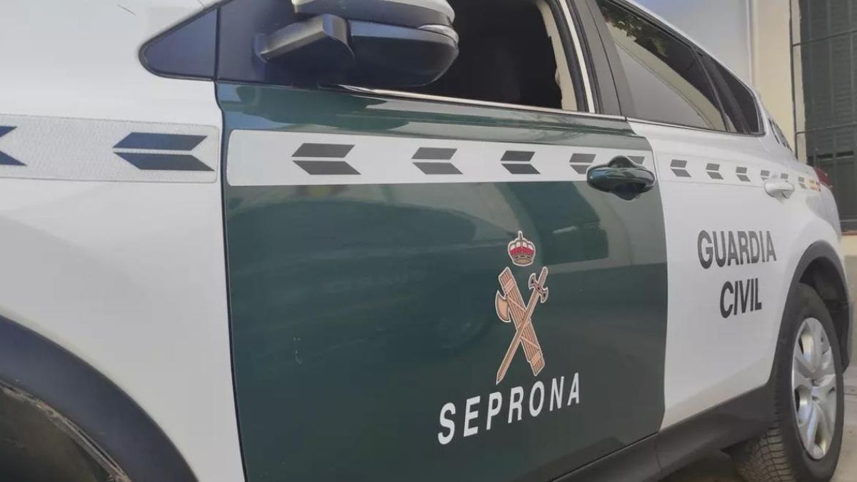 La Guardia Civil investiga por maltrato animal a la presidenta de una protectora en Gran Canaria