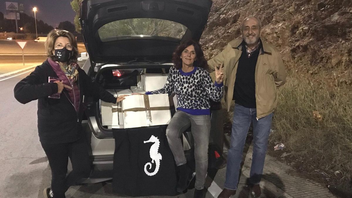 La utopía del Derecho: imaginar una comunidad jurídica y política de todos los seres vivos