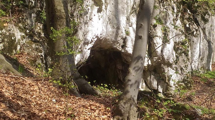 Cerebros y huesos rotos: la feroz práctica caníbal de los europeos prehistóricos