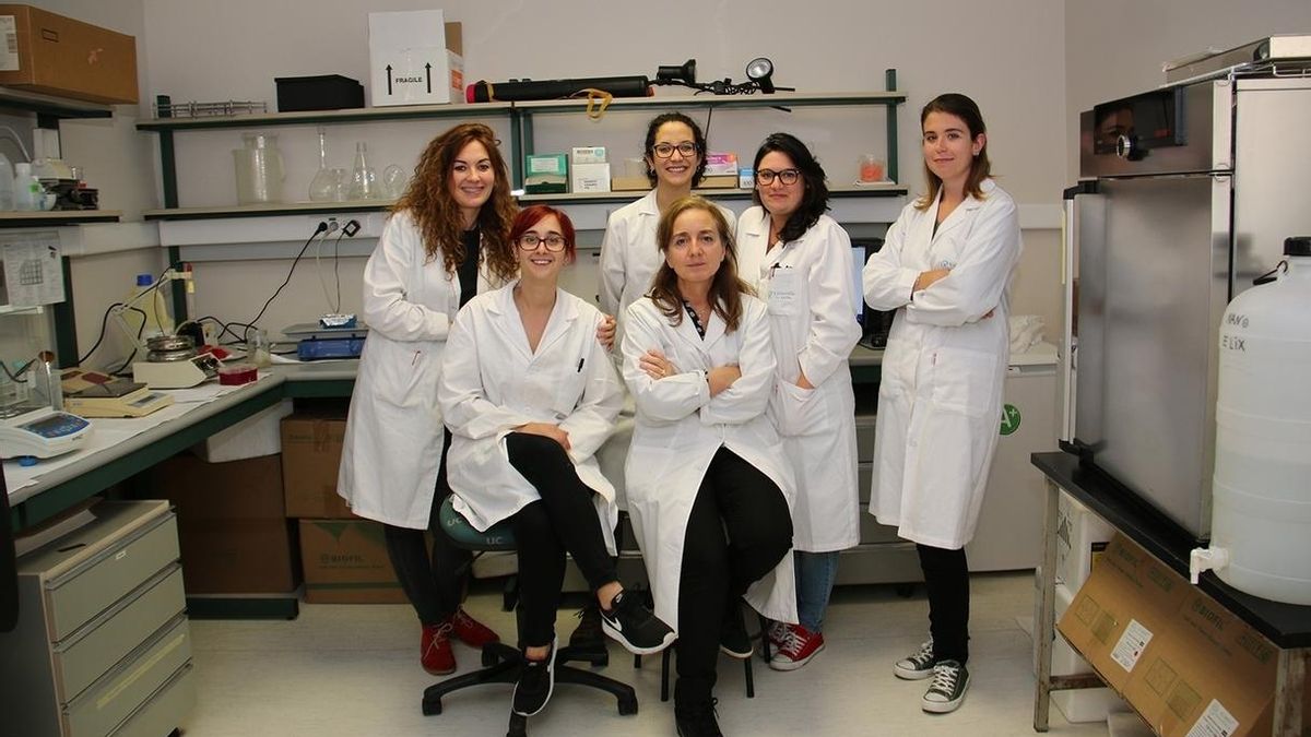 Investigadores de IDIVAL-UC patentan un sistema que mejora las terapias celulares dirigidas