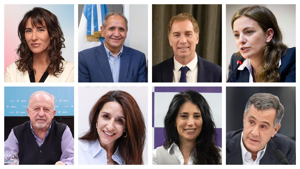 Natalia de la Sota, Sergio Palazzo, Diego Santilli, Vanesa Siley, Hugo Yasky, Agustina Propato, Sabrina Ajmechet y Alejandro Finocchiaro fueron reelectos y renovaron sus bancas hasta 2029.