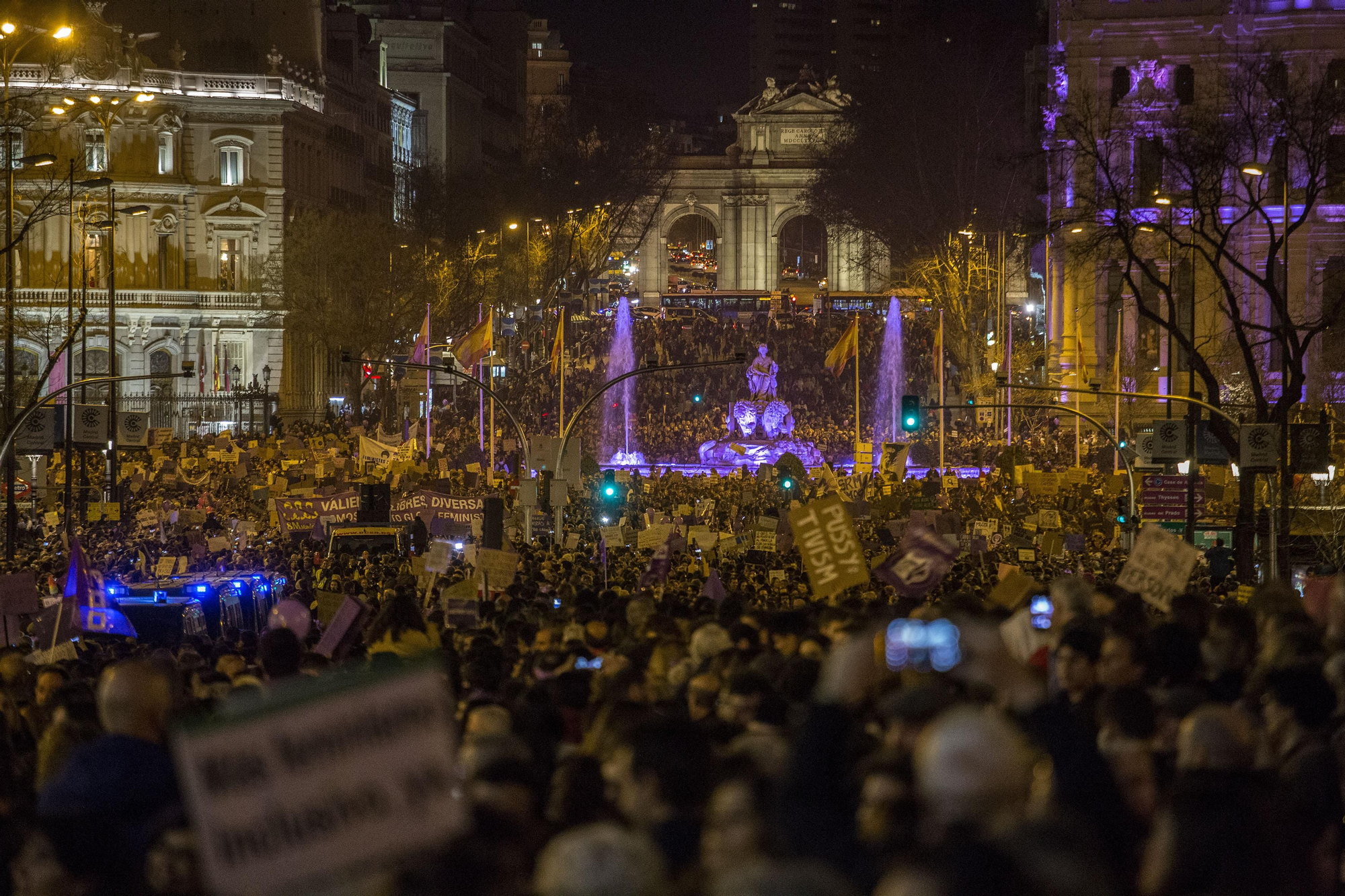 La diosa Cibeles, también iluminada de violeta, y la Puerta de Alcalá, al fondo, muestran una imagen singular entre la riada de manifestantes