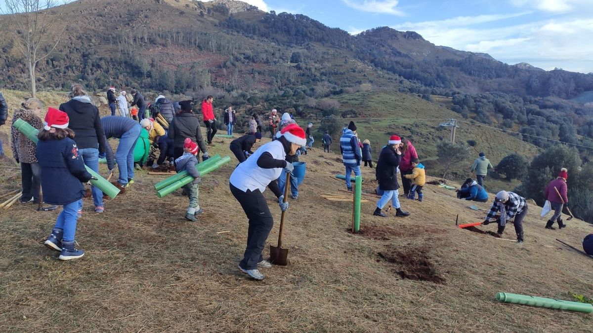Más de 300 voluntarios plantan un millar de árboles en Cabárceno en cuatro jornadas de reforestación