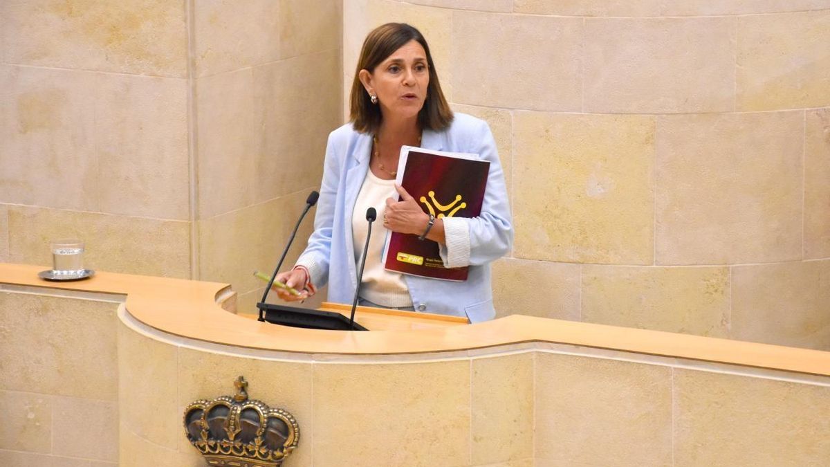 El PRC propone mejorar el salario de las cuidadoras y urge al Gobierno a revisar el precio de los conciertos