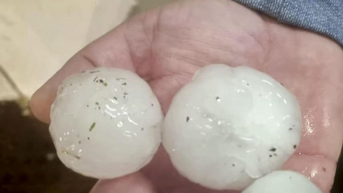 UPA cree que el granizo ha dañado 11.300 hectáreas de invernaderos en El Ejido (Almería)