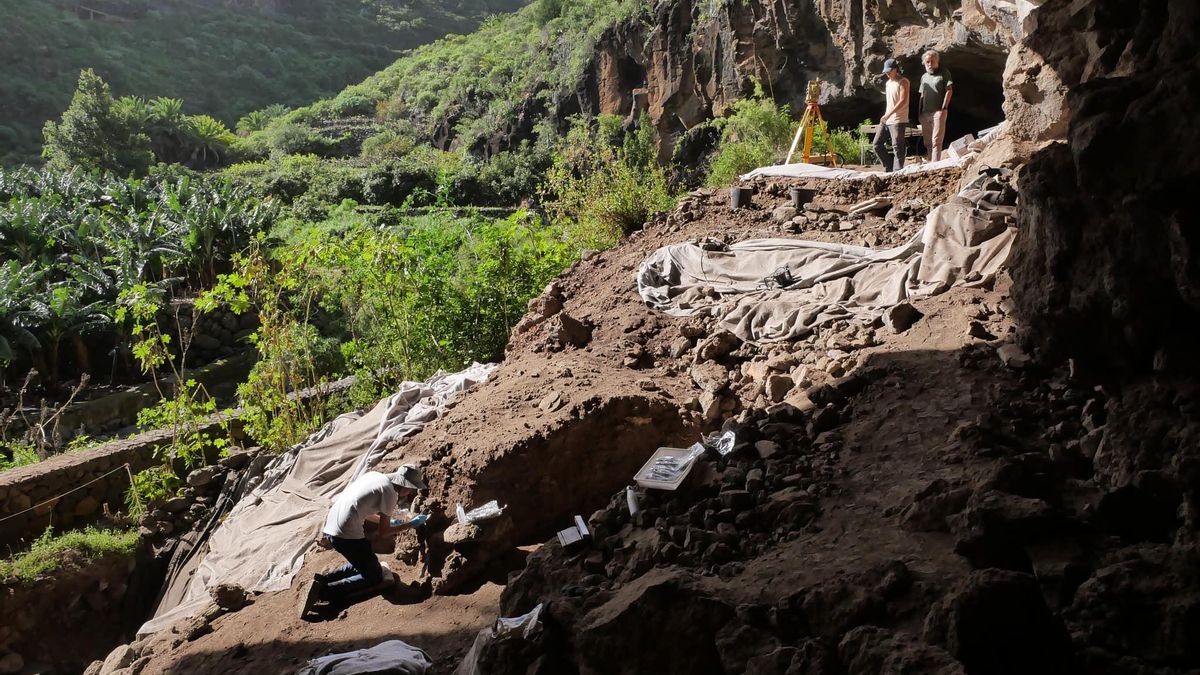 La Cueva de El Tendal, epicentro de la investigación arqueológica en La Palma: comienza la quinta campaña de excavaciones