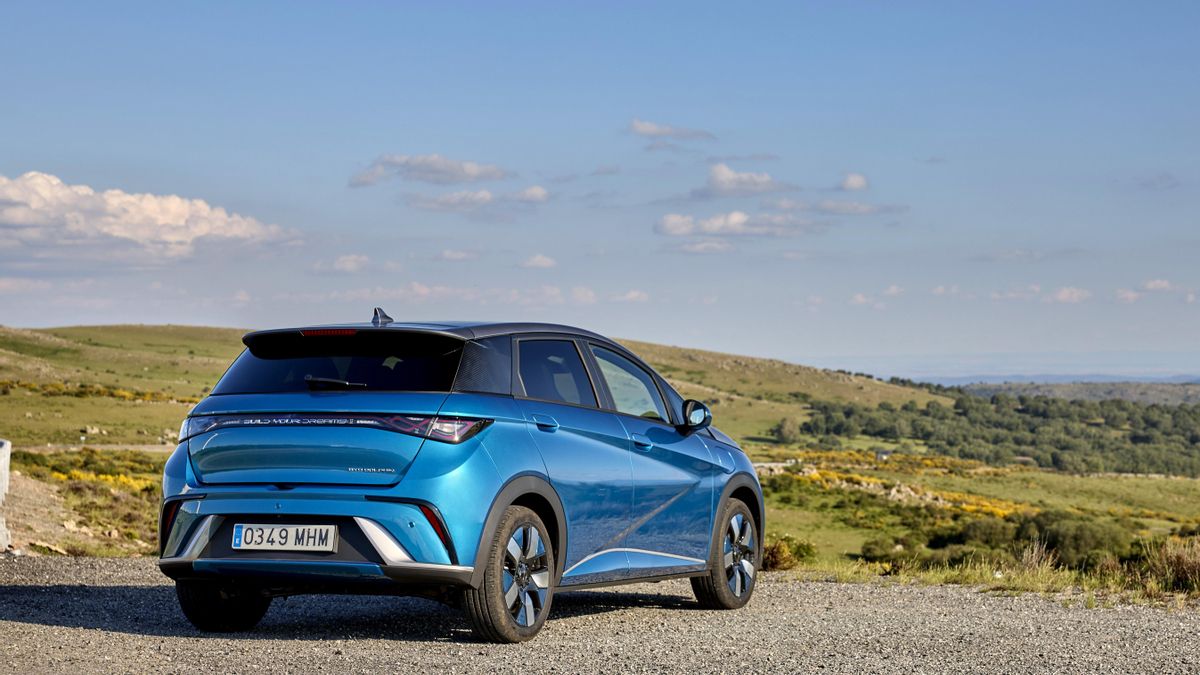 Vista lateral y trasera del modelo chino.