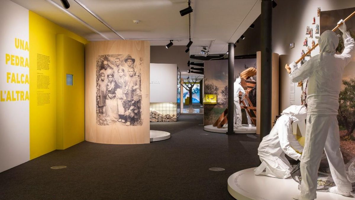 Solsida. Marges comunitaris per refer