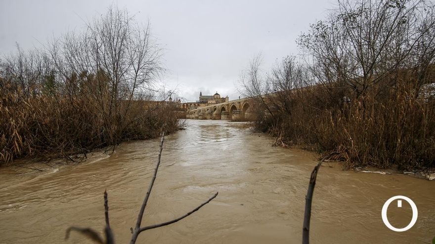 La crecida del río Guadalquivir a su paso por Córdoba