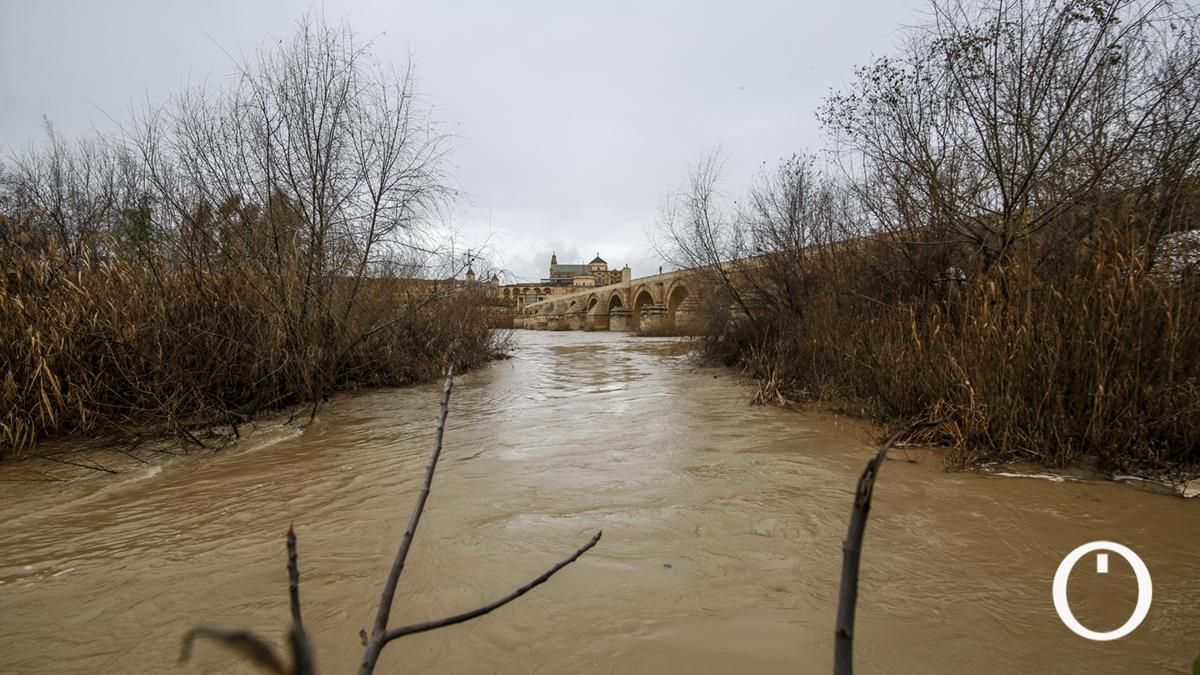 FOTOGALERÍA | El Guadalquivir resucita tras unas lluvias abundantes en la sierra