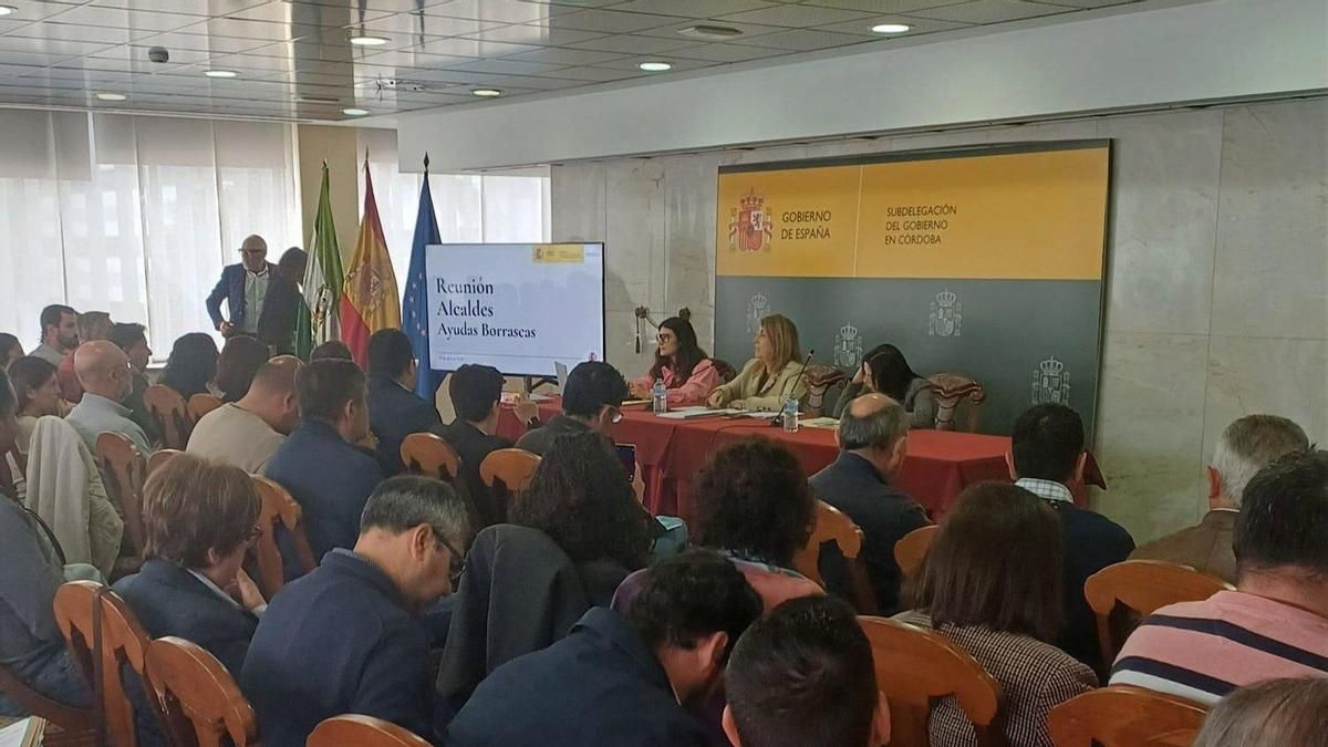 La subdelegada del Gobierno informa a los municipios de la provincia sobre las ayudas por las borrascas