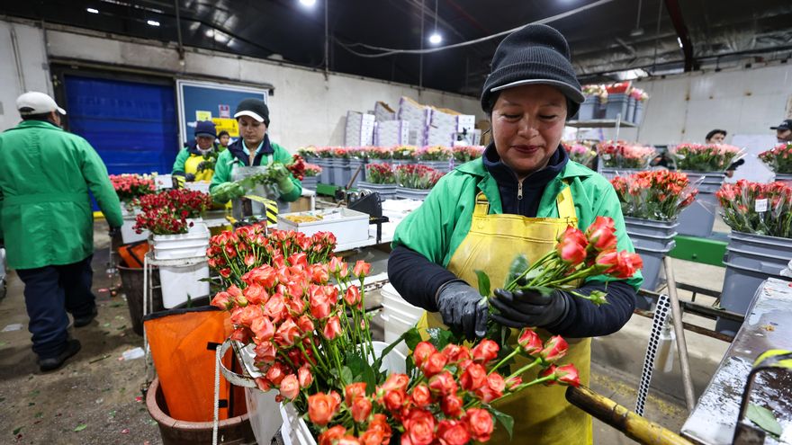 La rosa ecuatoriana, un poema de pétalos que celebra a las madres del mundo