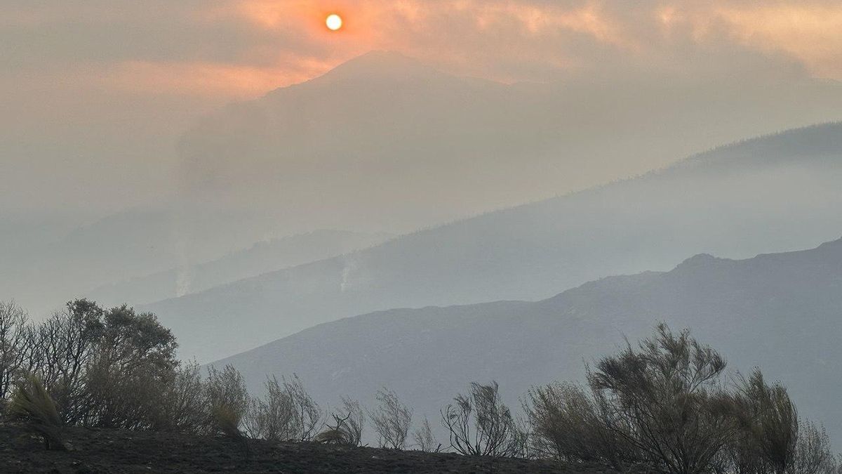 Sol, calor y además humo de los incendios forestales, esta mañana en El Bierzo.