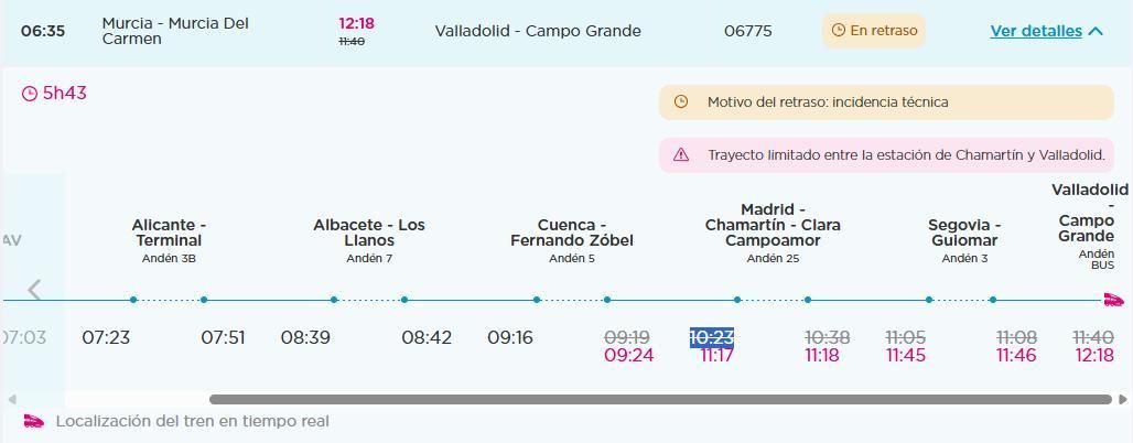 Información del tren afectado en la página de Ouigo.