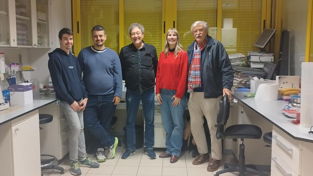 Luis Getino Alonso, Alejandro Chamizo, José Manuel Fernández Cañón, Lidia Ortega de los Ríos y José María Luengo.