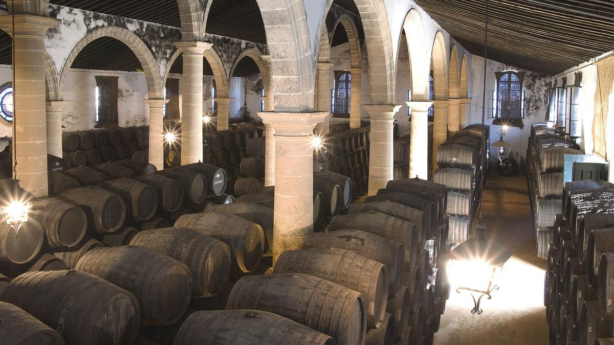 Jerez, la ciudad del vino que se rebela ante la demolición de bodegas para construir pisos turísticos