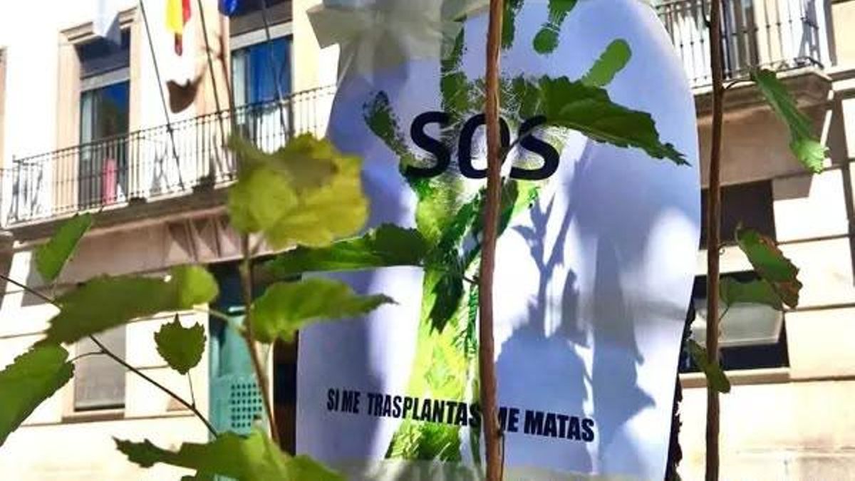 ¿Quién se ha creído Rafael Mateos? ¿Acaso el Rey Sol?